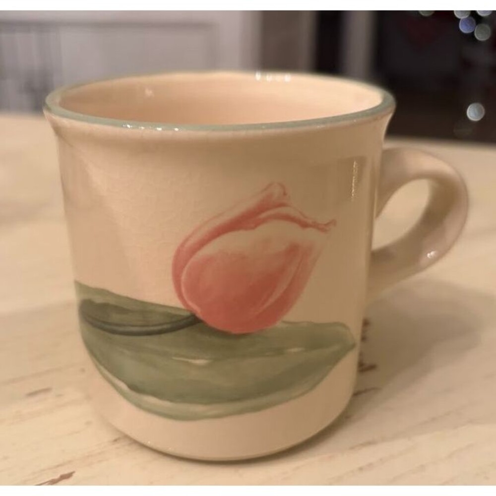 Pfaltzgraff Garden Party Impressions  Mug Cup 10 oz